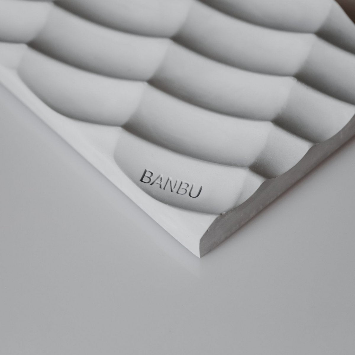 Zeepschaal | BABNU